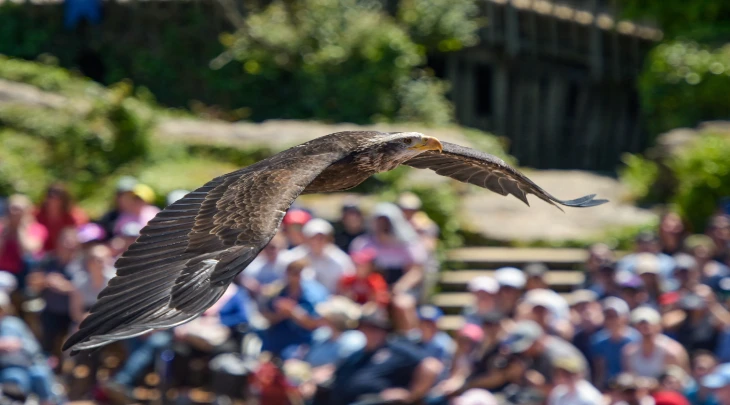 Almaty Fun and Sun 6